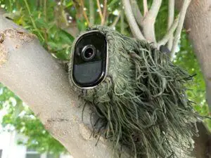 A camera camouflaged on top of a tree is one of the Creative ways to hide outdoor security cameras