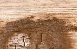 How to fix water damaged swollen outdoor wood furniture